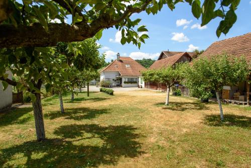  Apartment Mia in Donja Pačetina