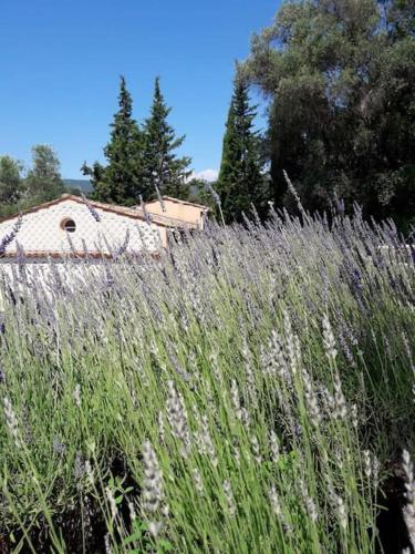 Pool House Renoir mit geheiztem Pool und Privatgarten