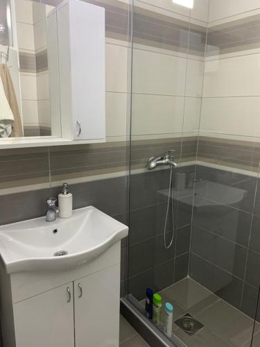 Apartman Djuric Paracin