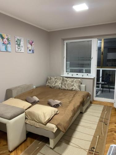 Apartman Djuric Paracin