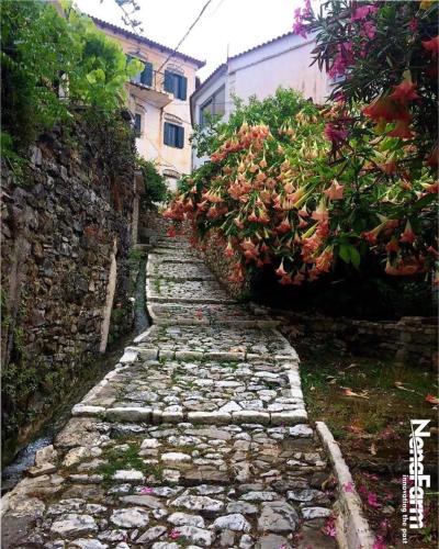 AdrianAgustin Rooms - image 14