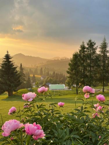 Tihuța Retreat