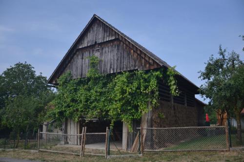 Ostir`s Holiday Home - image 4