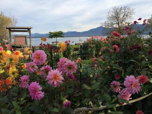 Genusszeit am Chiemsee - Apartment - Übersee