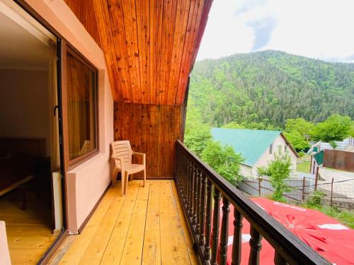 Likani house - Accommodation - Borjomi