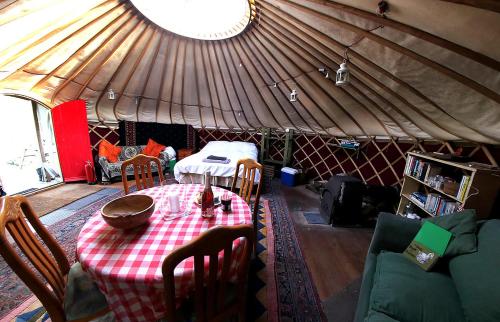 Yurt luxury + Bathhouse in Stoke Climsland