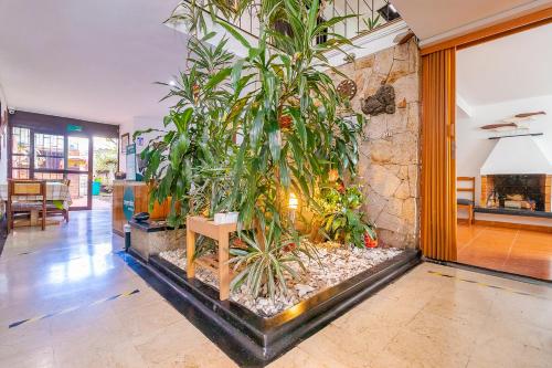로비, Hotel Bogota Alpes Castellana in 노스 웨스트 (주거 지역)