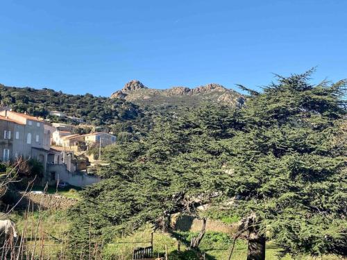 VILLA CHJOSELLA&nbsp;150M2 PISCINE ET AU CALME in Santa-Reparata-di-Balagna