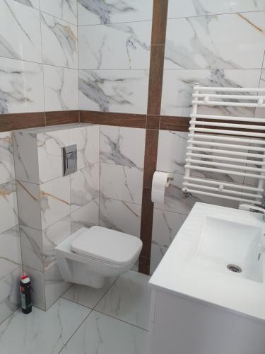 Dom Białka Zdrój, Szklarska Poręba (foto 6)