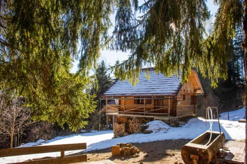 Cottage Planina Forest, 1070m altitude - Chalet - Ljubno