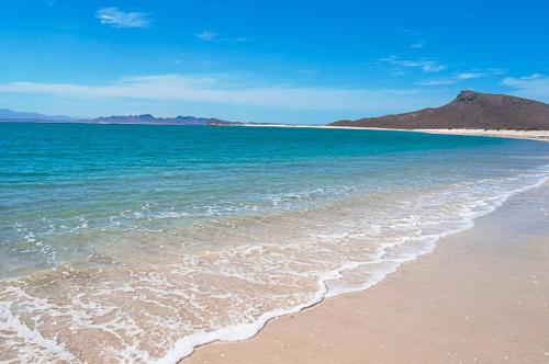 Island Adventure Charter Baja