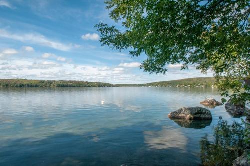 336129353 Mountain Lake Cottages