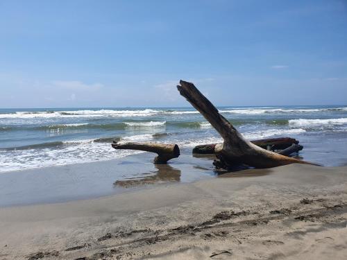 Riviera Bonfil – Acapulco, GA