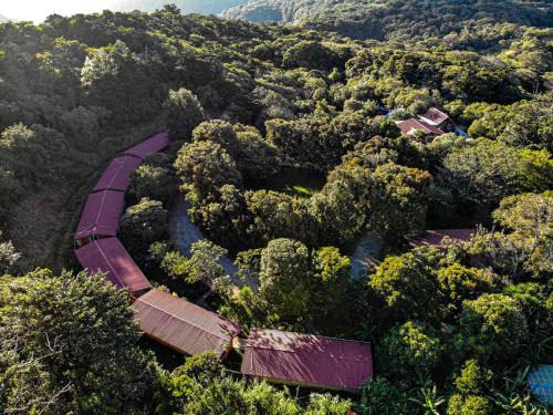 El Bosque Lodging Monteverde