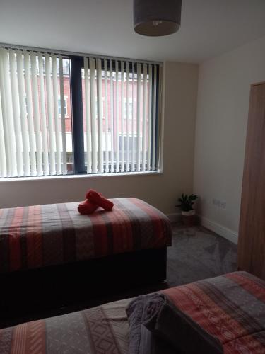 Picture of Spacious 2 Bed Apartment Norwich, Close To Station And City Centre