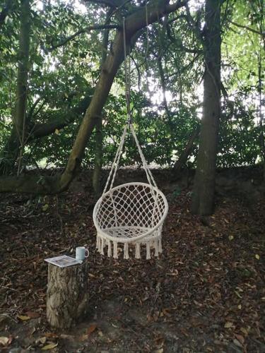 Gîte de l'Hêtre Enchanté gîte à louer Clécy