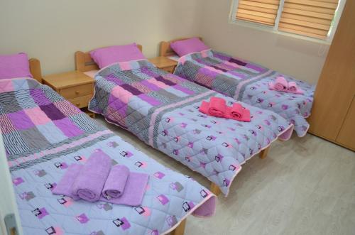 Guest House Konak Iris - image 12