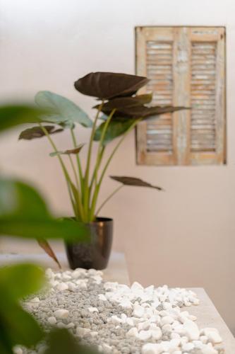 Dimi Luxurious Suites - image 11