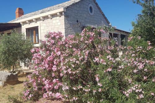 Stone Villa Olea - Holiday house in olive grove