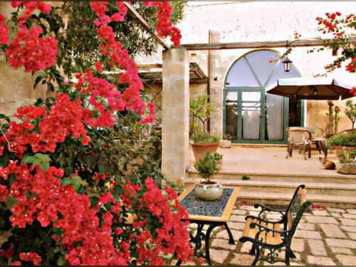 Masseria Isola Verde chambre d'hôte Salve