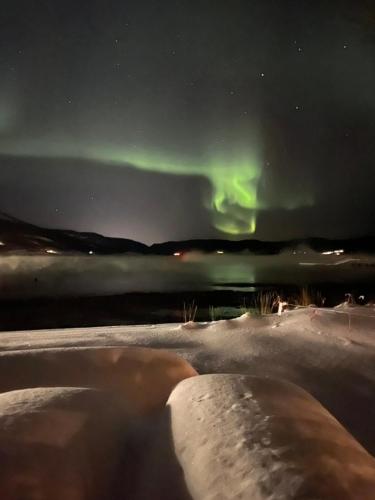 . Rognan Fjordcamp