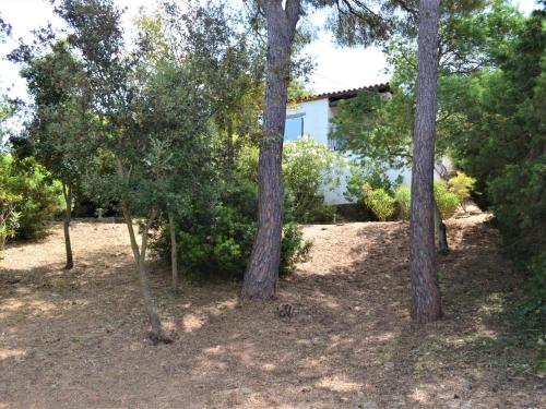  Casa minipa in Begur