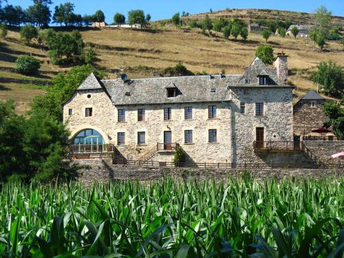 B&B Manoir de la Fabrègues