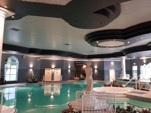 Rochestown Park Hotel & Leisure Centre — hotel in Rochestown Road, Douglas, Cork IE, 2011