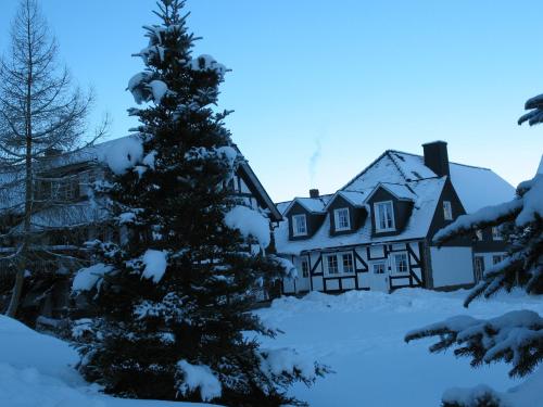 Gästehaus Schwarzenauer Mühle - image 8