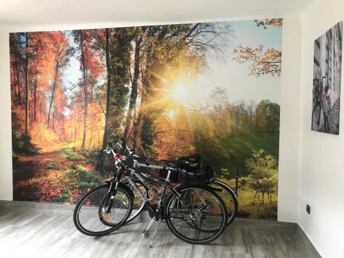 Cyklo-Moto apartmán (Cyklo-Moto apartman) in Lomnice Nad Luznici