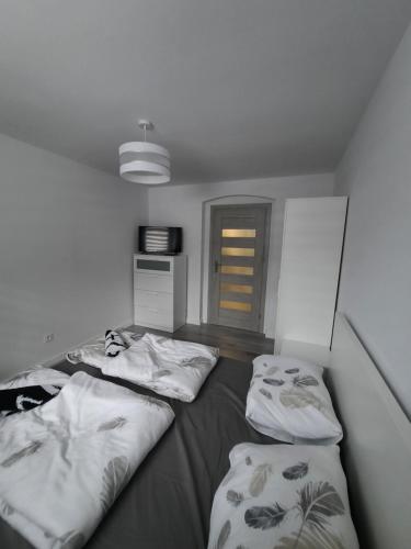 Apartament U Kasi i Jakuba, Sklářská Poruba (fotografie 9)