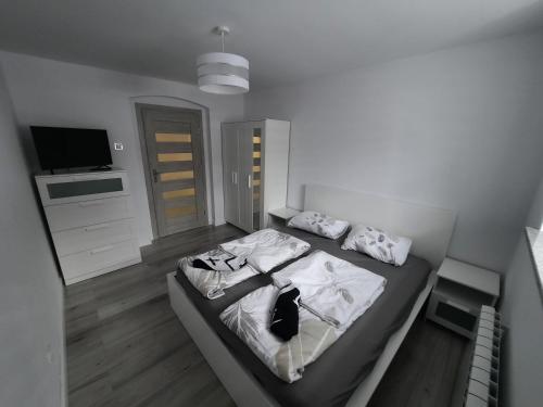 Apartament U Kasi i Jakuba, Sklářská Poruba (fotografie 6)