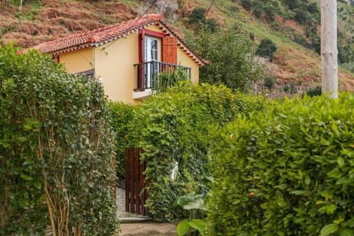 Chalet do Tomas by Madeira Sun Travel gîte à louer Ribeira Funda