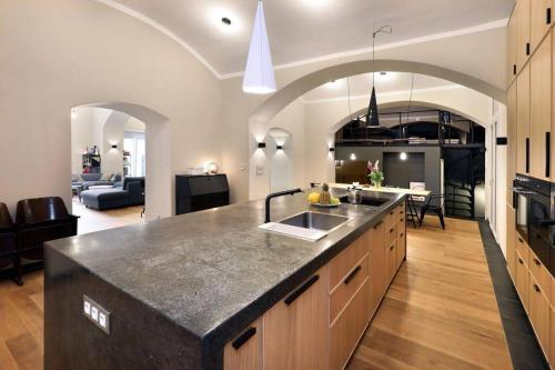 Design Loft 2 Minutes to Wenceslas square, Praha (fotografie 7)