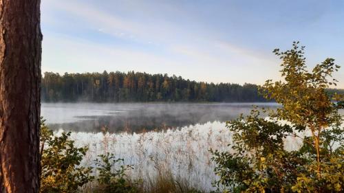 Lake apartment in Visaginas