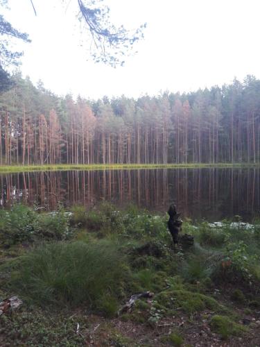 Lake apartment in Visaginas