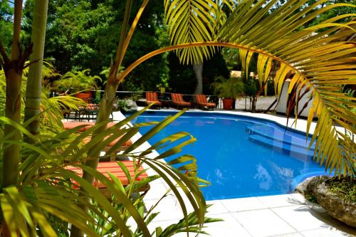 Swimming pool, Jungle Lodge Tikal Hostal in Tikal