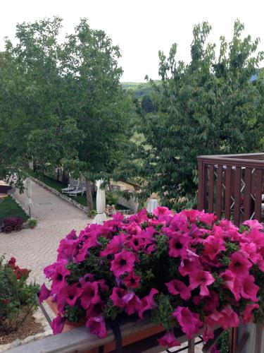 Agriturismo Capriccio Di Giove 4