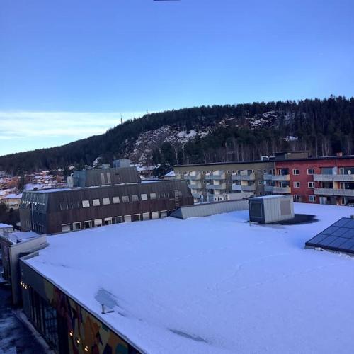 Koselig 1 roms leilighet med balkong