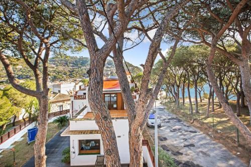 Anc 06 - Llafranc Anc 06 - Llafranc