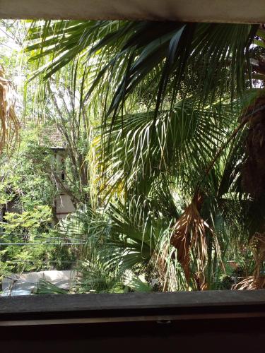 Bed & Breakfast Delta Inn - Río Tigre, Tigre (Foto 8)