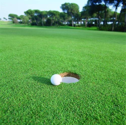 Foto - Hotel Nuevo Portil Golf