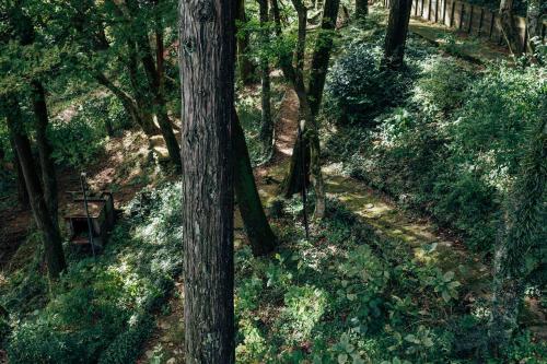 ROKKONOMAD in Mont Rokko