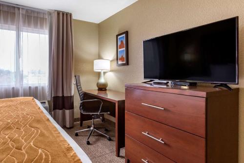 Comfort Inn & Suites Deming - image 10