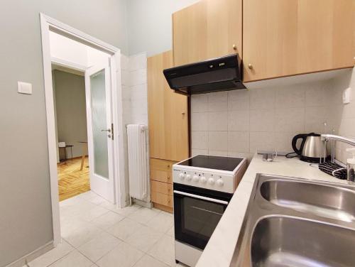 Veno Apartments Goudi 5