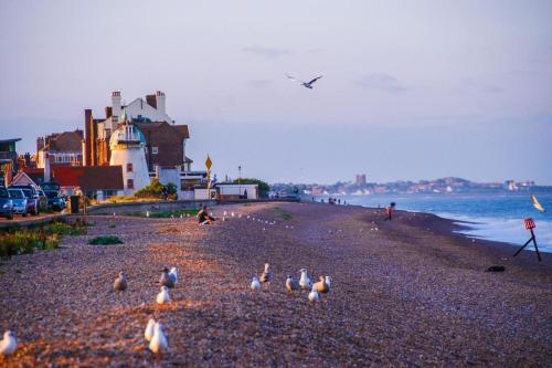 Queenies an authentic Rural Style coastal cottage in a Nature Reserve - image 3