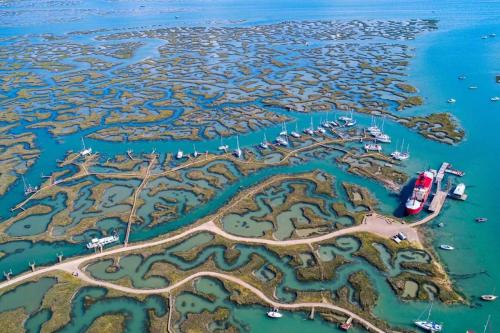 The Wobbin, Remote, Comfort, Sea Views and the beautiful Essex Marshes