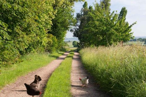 The Wobbin, Remote, Comfort, Sea Views and the beautiful Essex Marshes