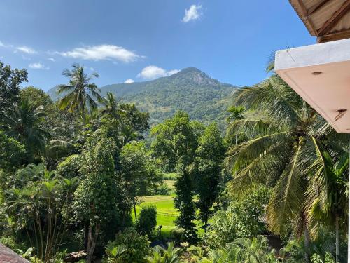 Hotel Spring View, Matale (Foto 10)