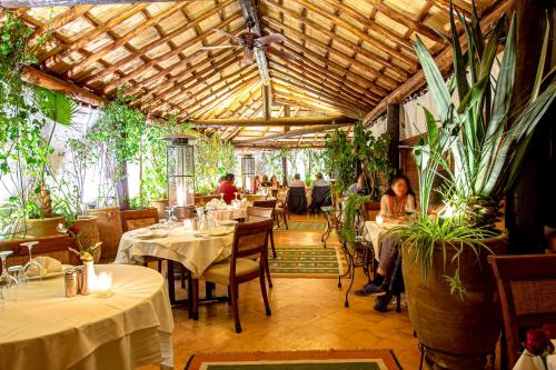 Dar Anika Kitchen